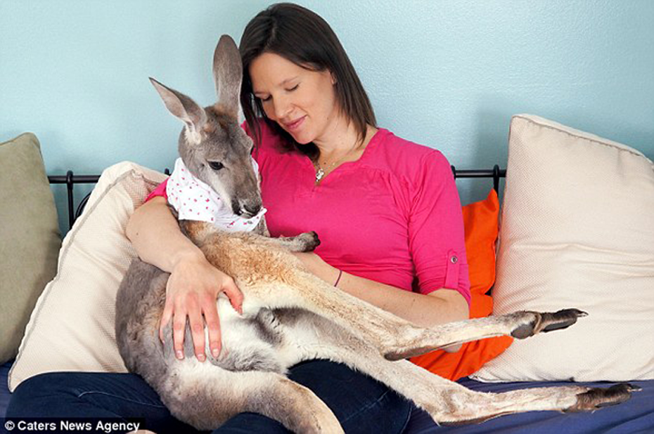 Woman Holding Kangaroo