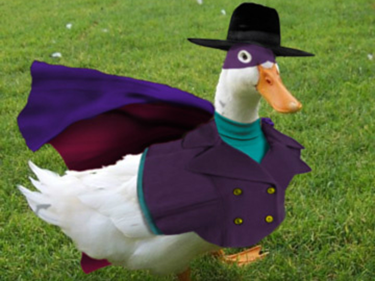 Duck in Costume